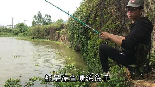 钓鱼爆料视频最新消息新闻,揭秘神秘水域奇遇记  第2张