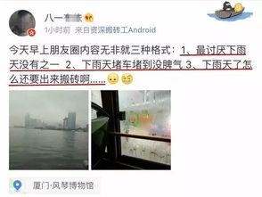 今日生活爆料电话,今日爆料电话背后的故事  第2张