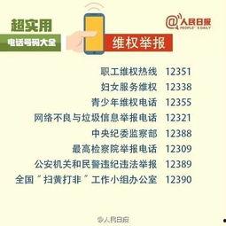 今日一线爆料 电话号码,电话号码背后的惊人内幕